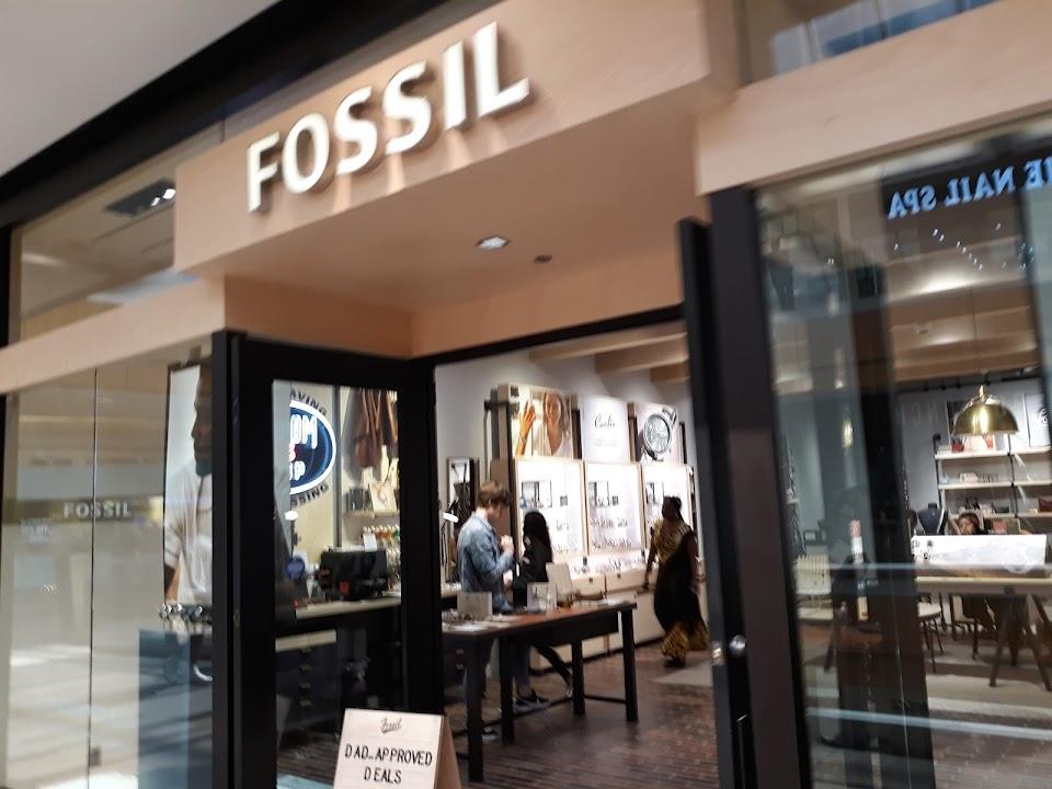 Fossil Store