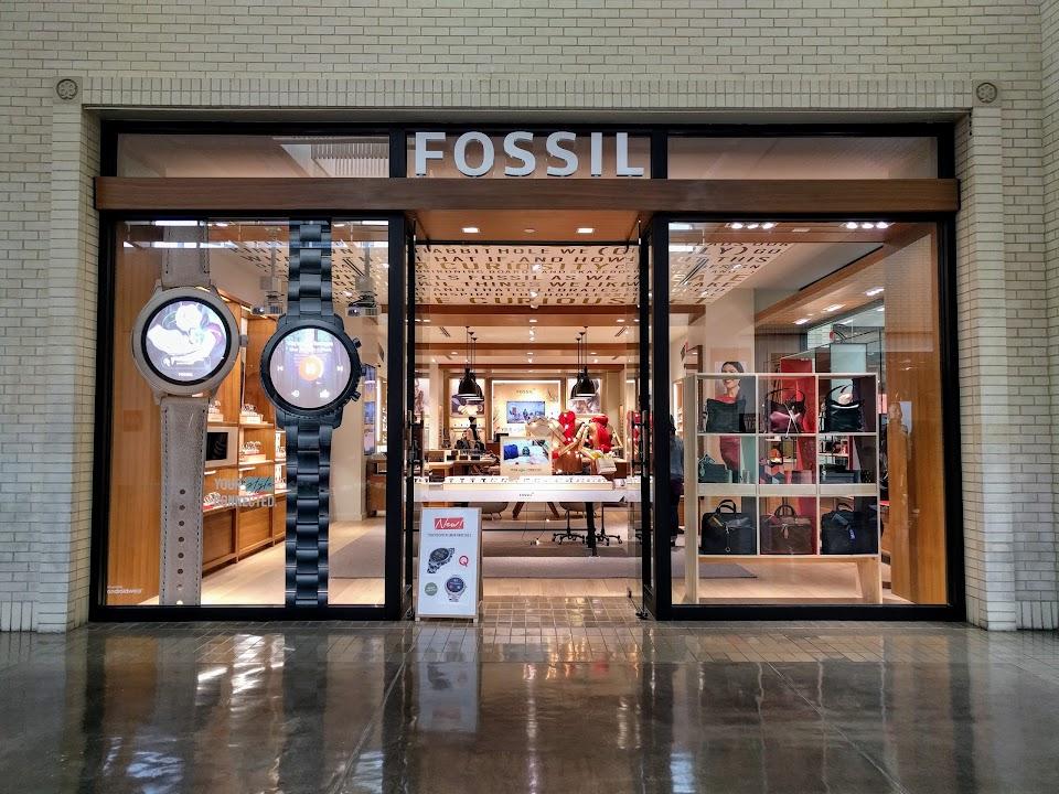 Fossil Store